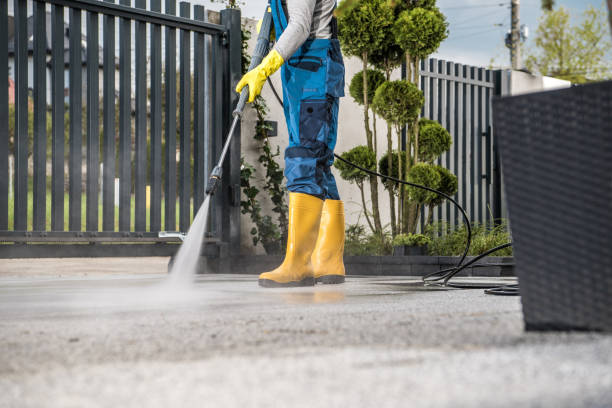 Best House Exterior Washing  in Port Allegany, PA